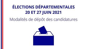 Se présenter aux élections départementales 2021 : être candidat